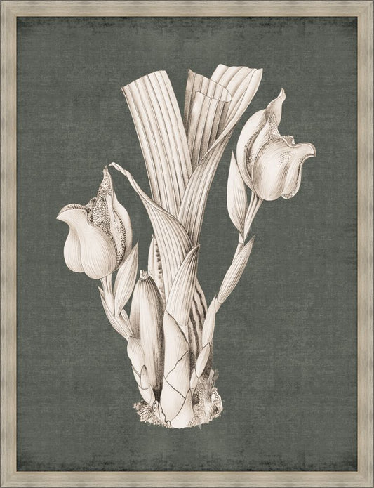 Dramatic Flowers in Fern Green IV Grande