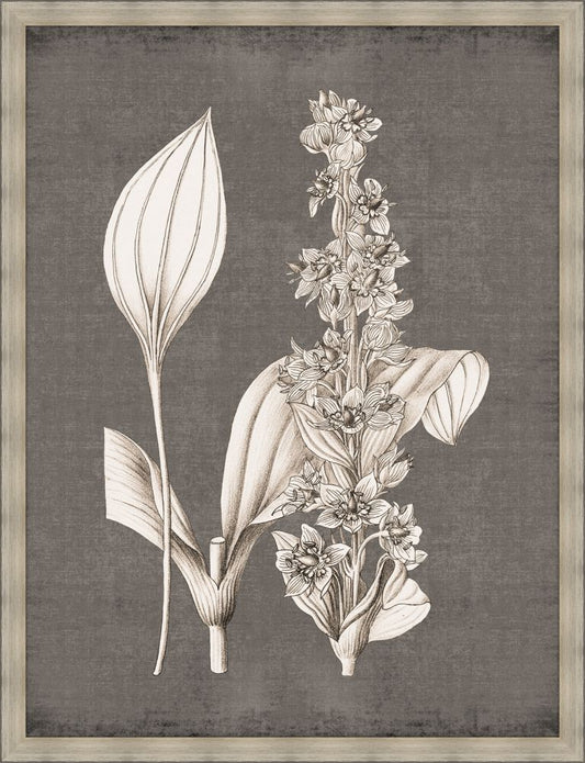 Dramatic Flowers in Soft Gray I Grande