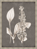 Dramatic Flowers in Soft Gray I Grande