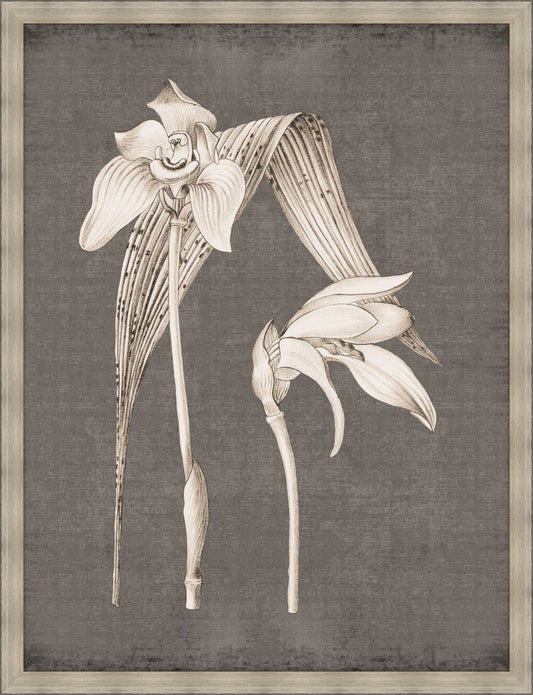 Dramatic Flowers in Soft Gray III Grande