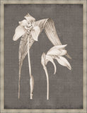 Dramatic Flowers in Soft Gray III Grande
