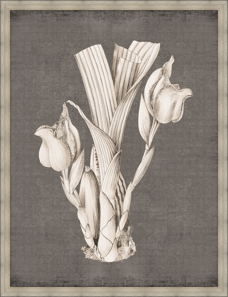 Dramatic Flowers in Soft Gray IV Grande