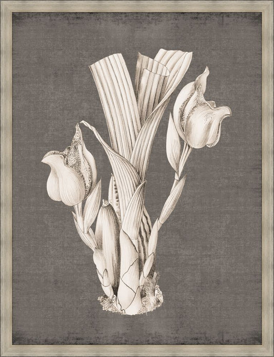 Dramatic Flowers in Soft Gray IV Grande