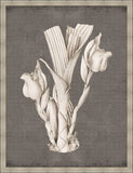 Dramatic Flowers in Soft Gray IV Grande