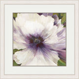 Violet Orchid I