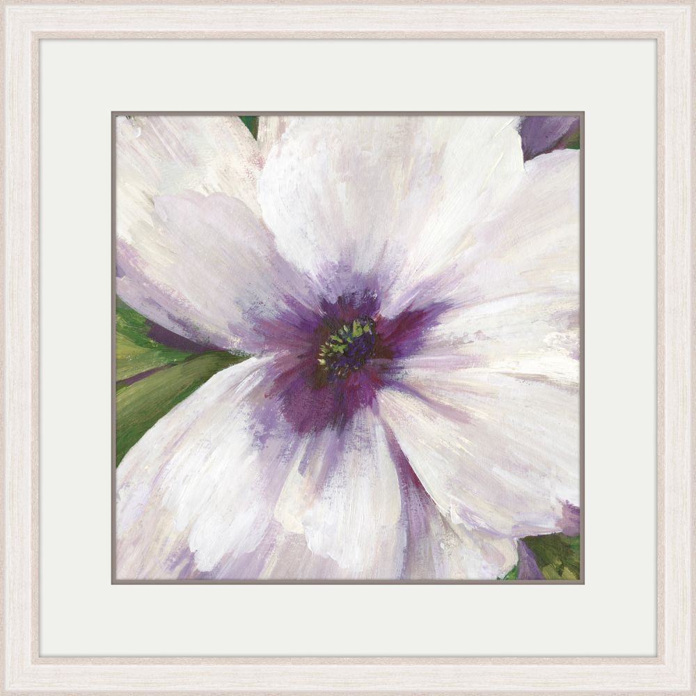 Violet Orchid II