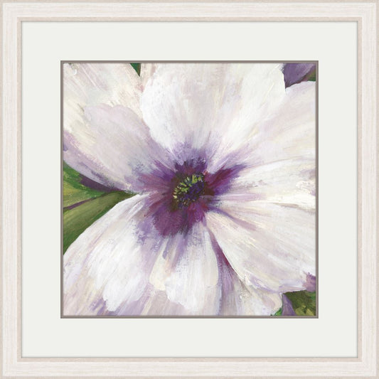 Violet Orchid II