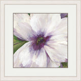 Violet Orchid II
