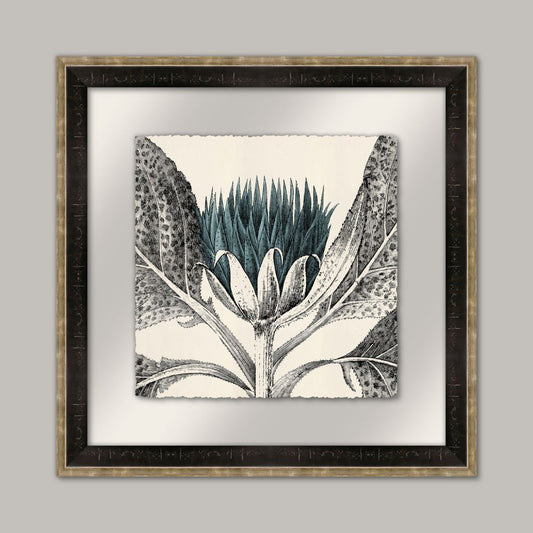 Arctium I in Adrift