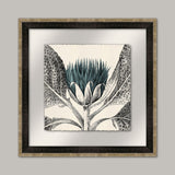 Arctium I in Adrift