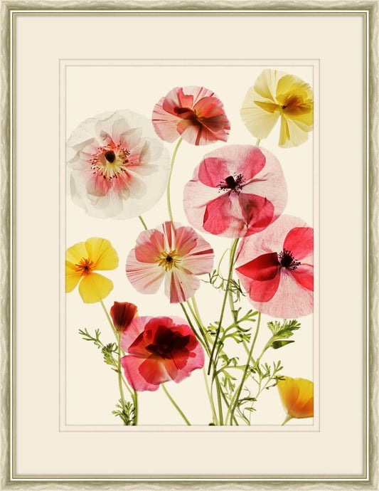 Red Herbaceous
