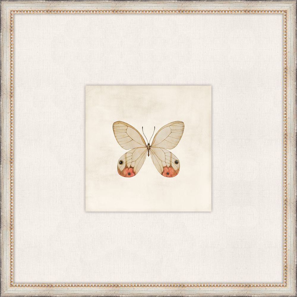 Cottage Butterfly I