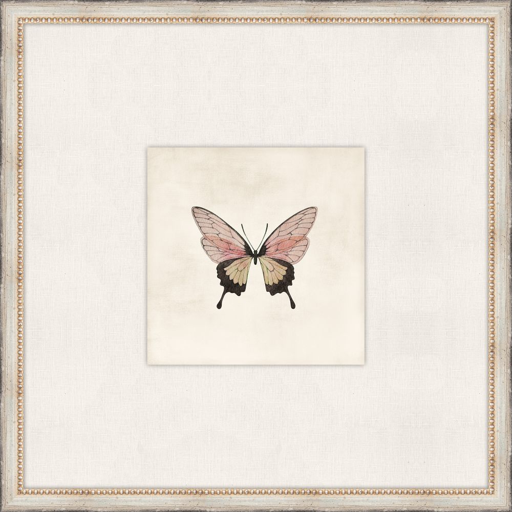 Cottage Butterfly III