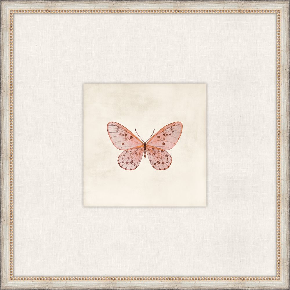 Cottage Butterfly IV