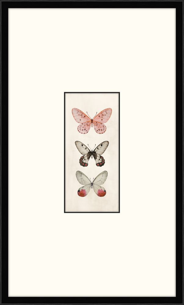 Three Cottage Butterflies I