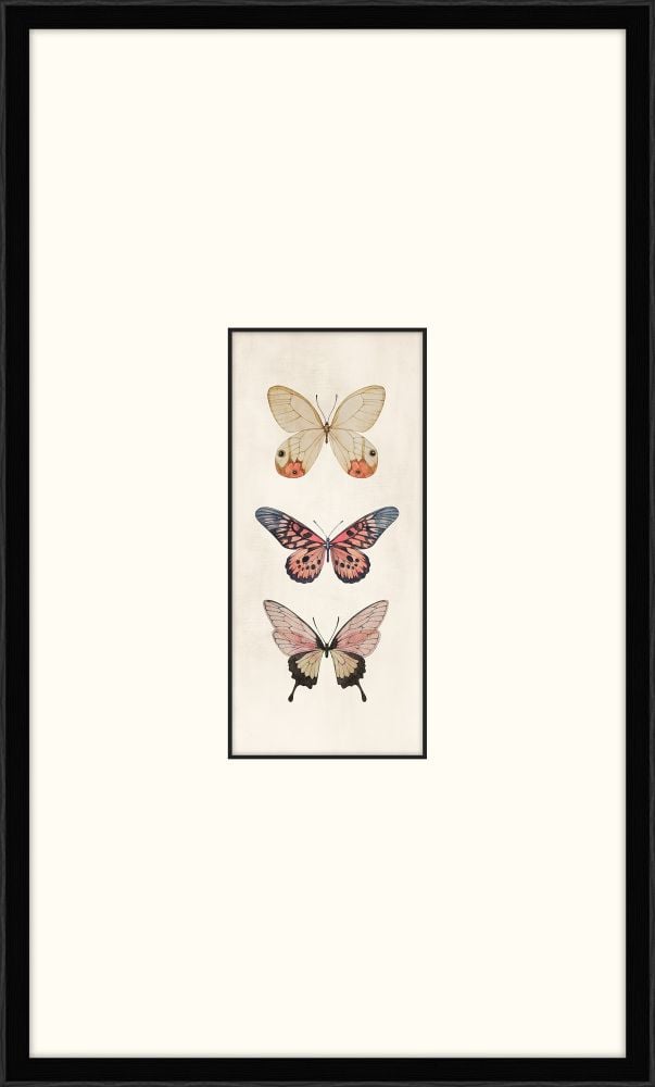 Three Cottage Butterflies Ii