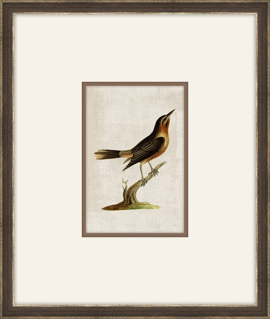 Miniaturvogel I