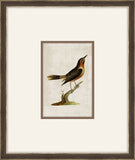 Miniaturvogel I