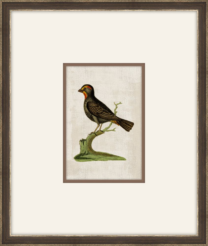 Miniaturvogel II