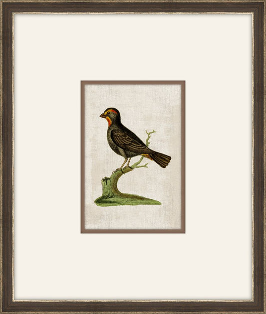 Miniaturvogel II