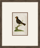 Miniaturvogel II