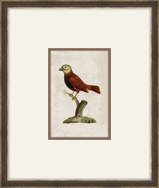 Miniaturvogel IV