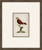 Miniaturvogel IV