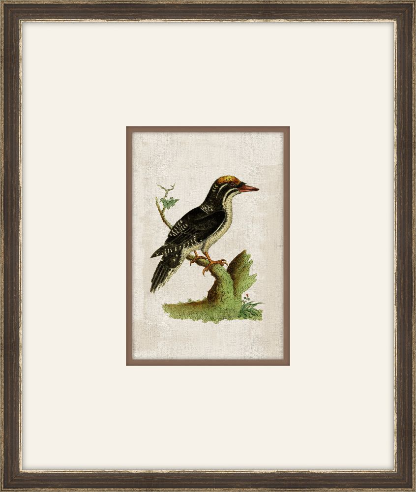 Miniaturvogel V