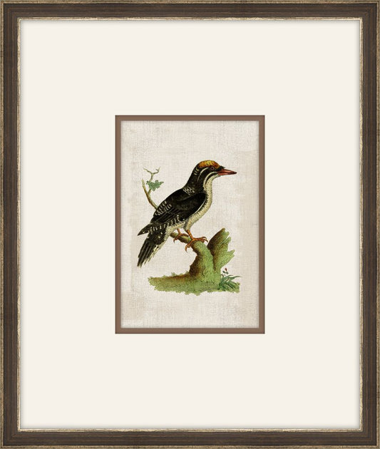 Miniaturvogel V