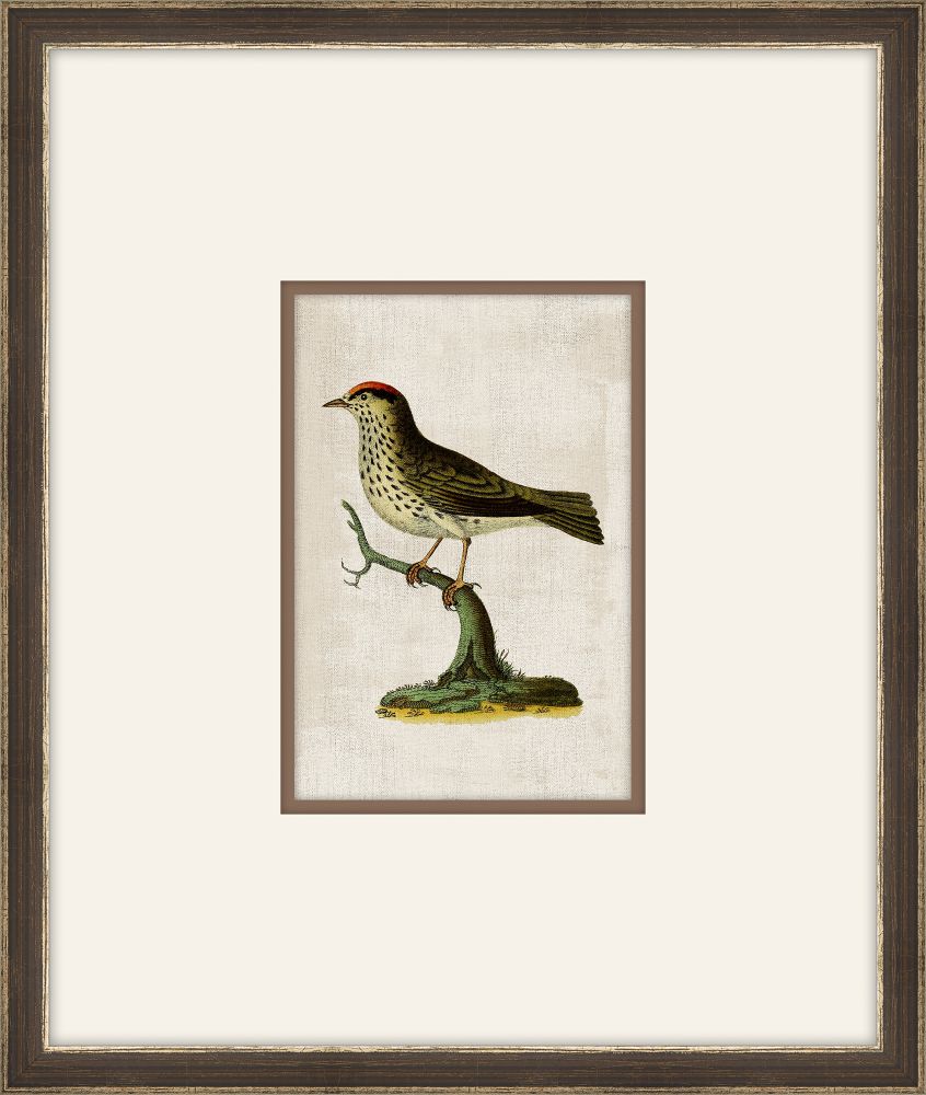 Miniaturvogel VI