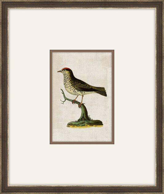 Miniaturvogel VI
