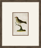 Miniaturvogel VI