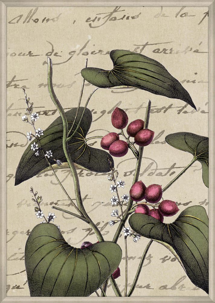 Plants & Writing I