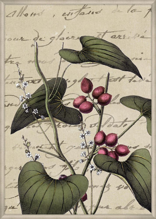 Plants & Writing I