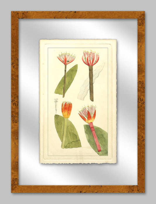 Rachels Tropicals in Glass II