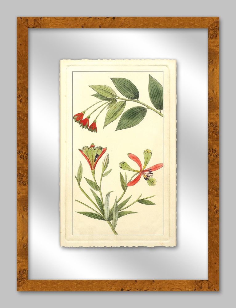 Rachels Tropicals in Glass III
