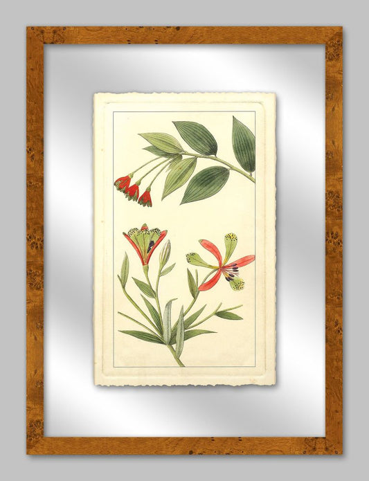 Rachels Tropicals in Glass III