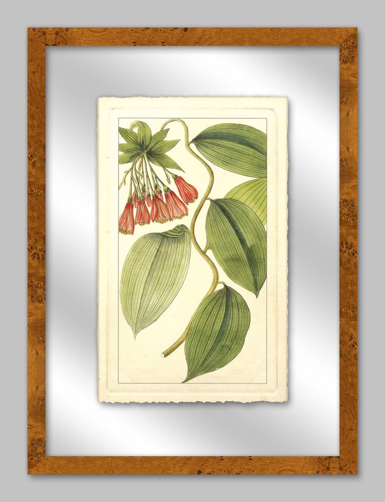 RACHEL'S TROPICALS IN GLASS IV