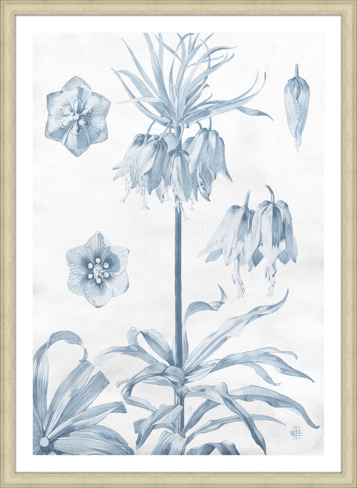Azure Fleur I