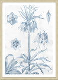 Azure Fleur I
