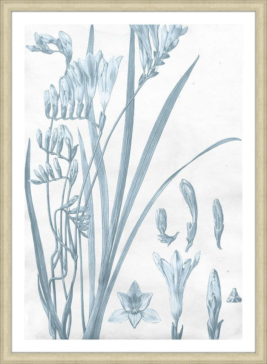 Azure Fleur II