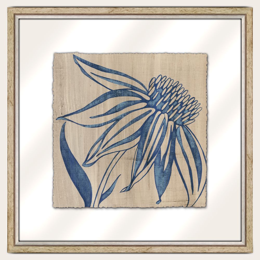 Indigo Coneflower
