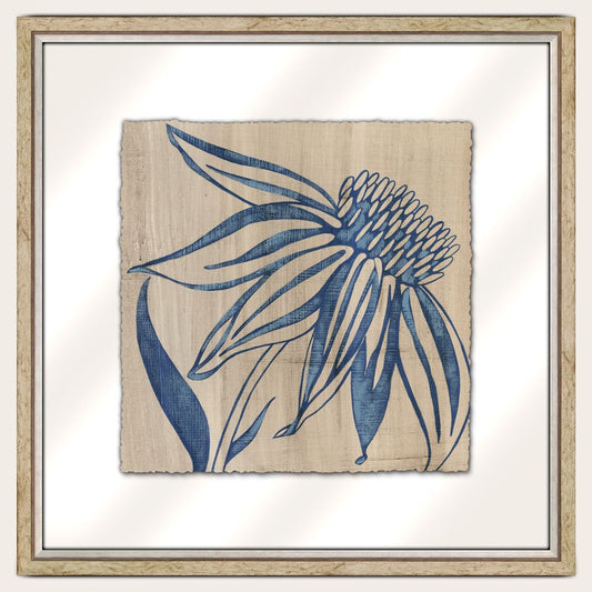 Indigo Coneflower