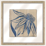 Indigo Coneflower