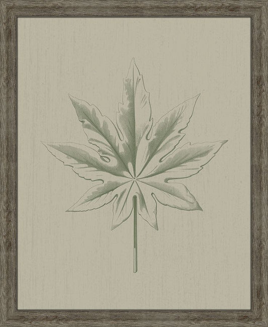 PETITE FEUILLE I