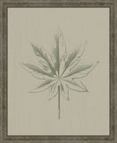 PETITE FEUILLE I