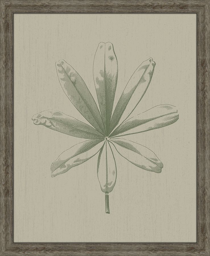 PETITE FEUILLE II