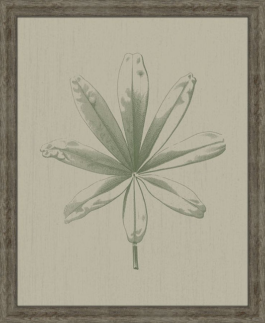 PETITE FEUILLE II