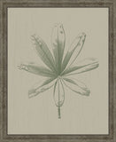 PETITE FEUILLE II
