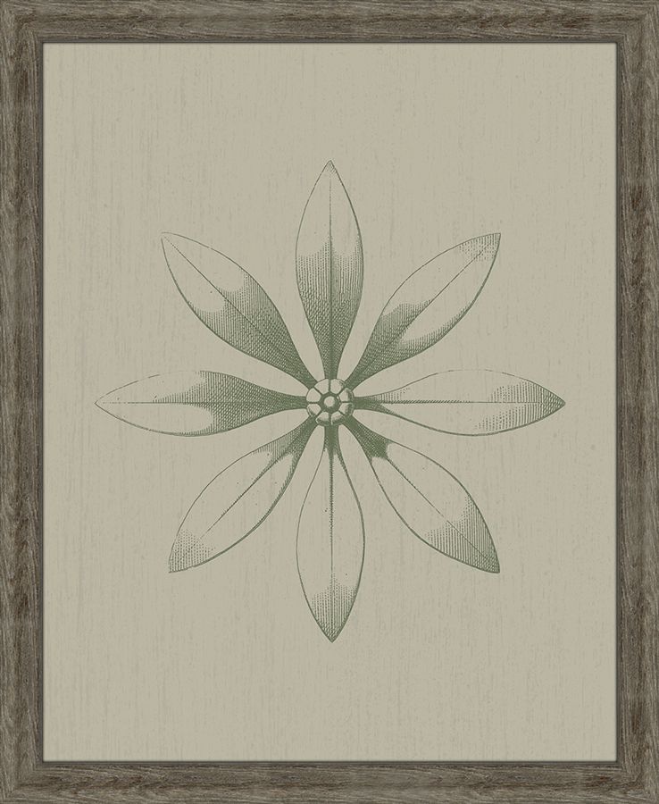 PETITE FEUILLE III